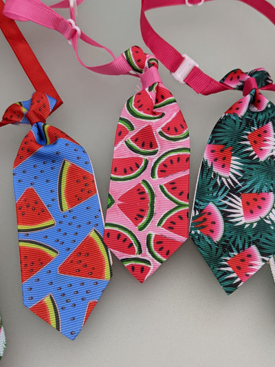 Summertime Fun Neckties