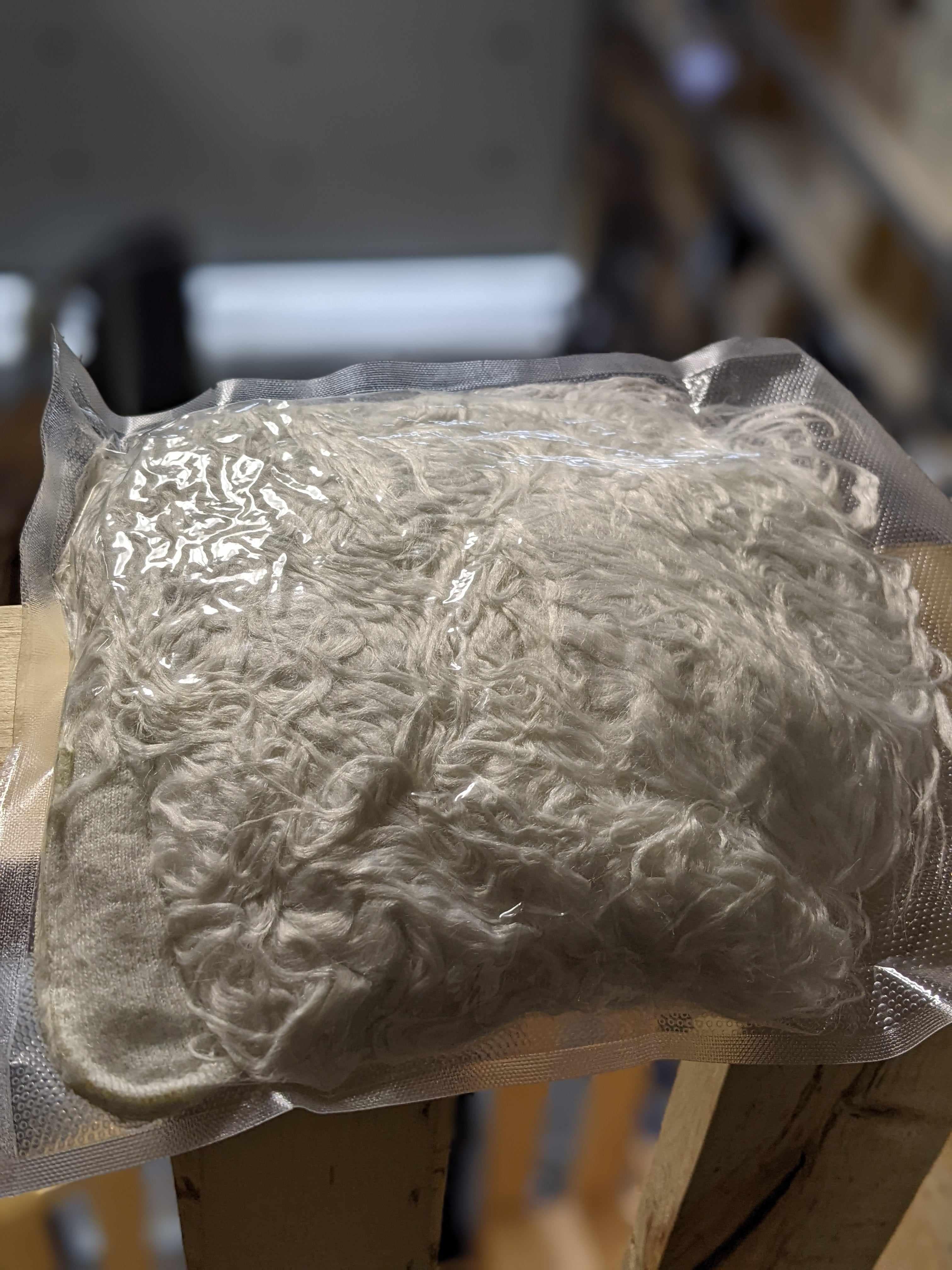 Model Dog Full Body replacement hair Canadian Grooming Distributor