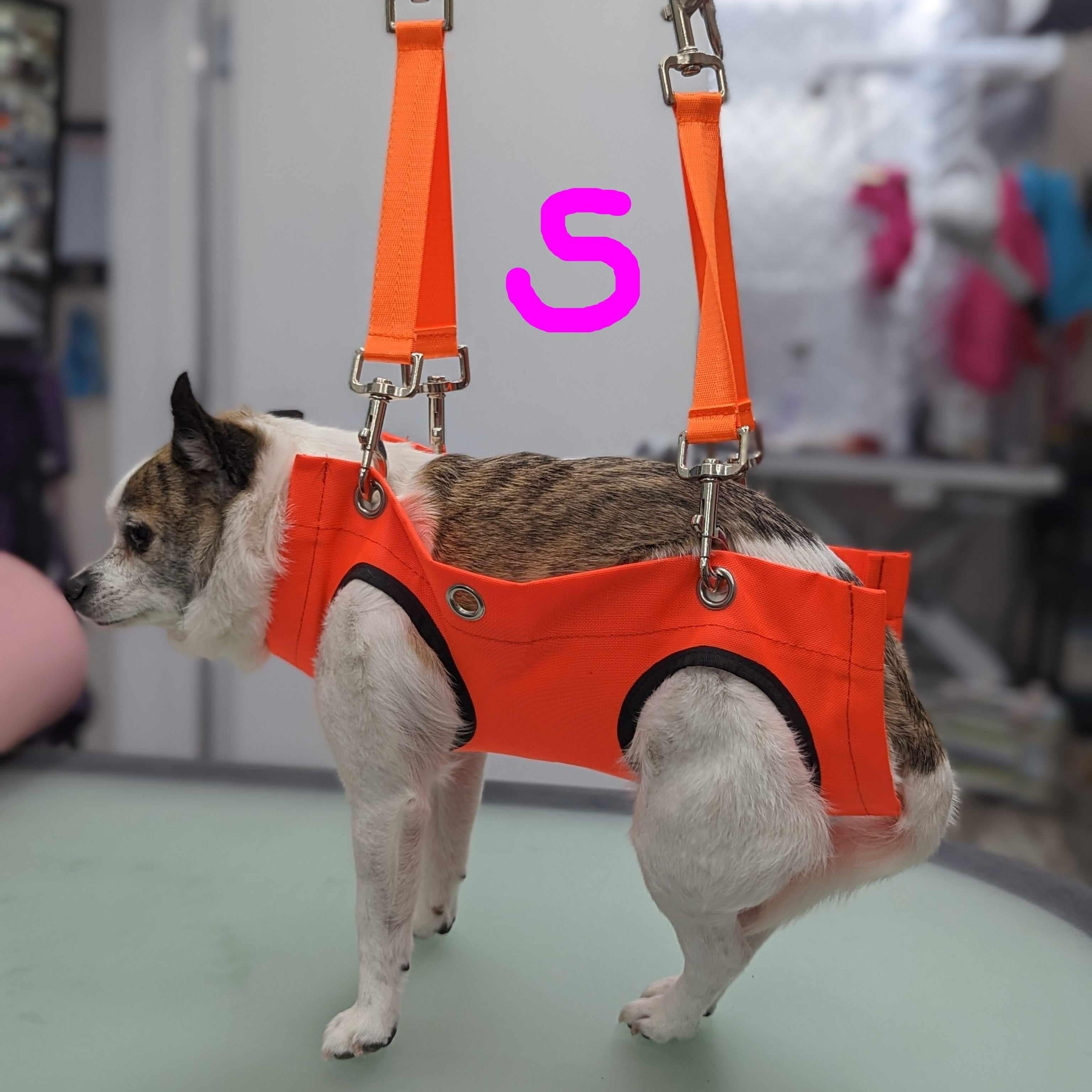 Dog Harness Dog Straight Jacket For Nail Clipping KISS Hammock