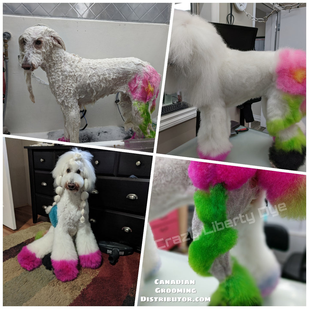 Crazy Liberty Dye Canadian Grooming Distributor