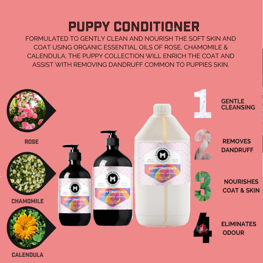 Gentle puppy shampoo shop