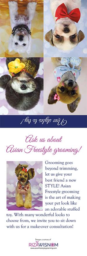 Asian Style Grooming Marketing materials