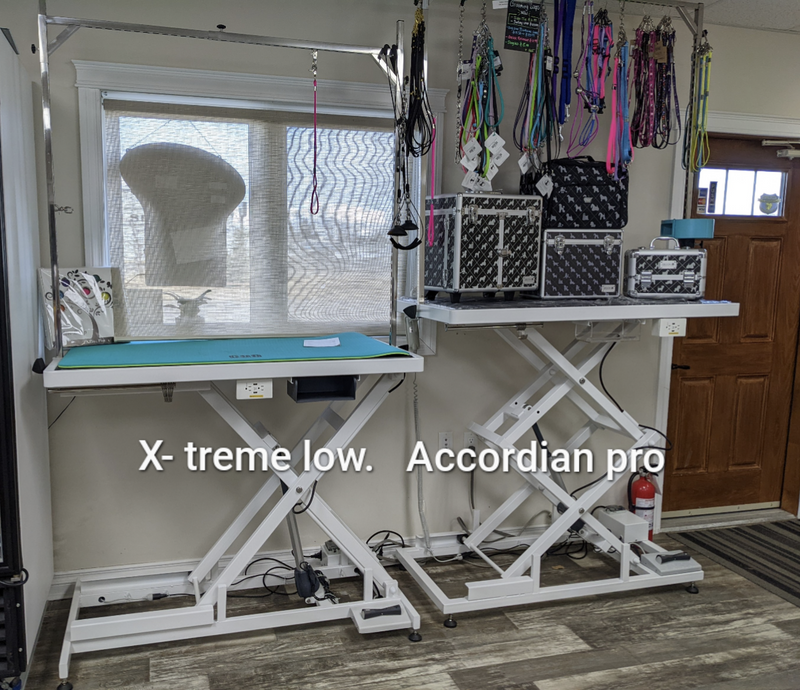 X-treme Low Electric Table