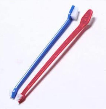 Toothbrushes -50pack